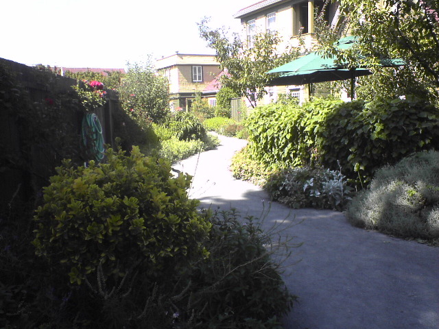 DSC00987