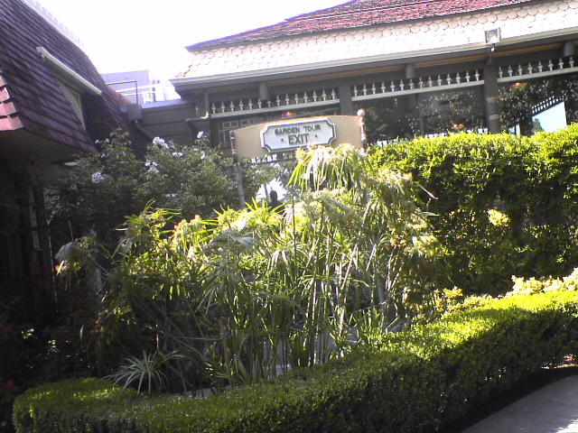 DSC00997