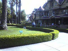 yard